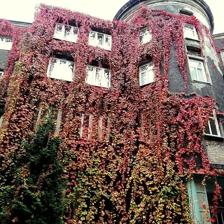 Bristol Bytom